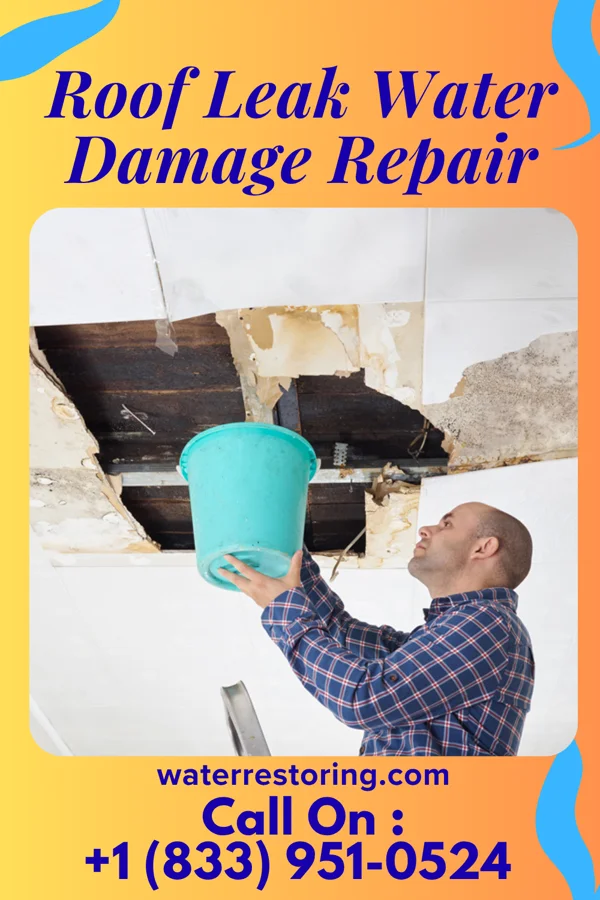 Roof Leak Water Damage Repair in Caldwell, KS